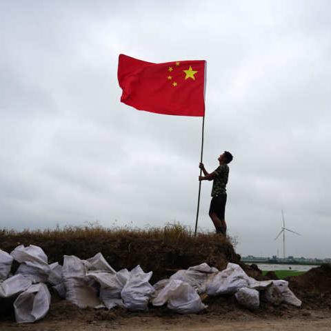 迷你世界护卫角色大解析，实力排名与角色特点全解读
