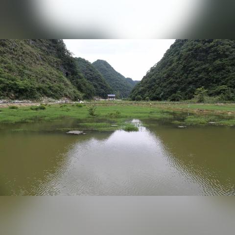 荔波水丰村振兴之路，乡村旅游与生态农业成果显著