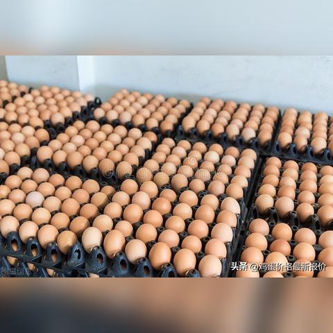 今日蛋价走势分析及最新价格表，市场稳中有涨趋势明显