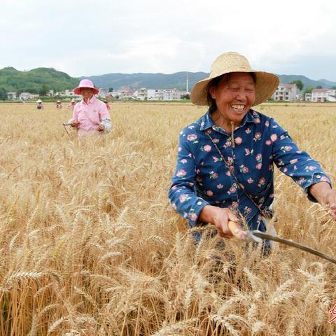 2025年3月10日 第40页
