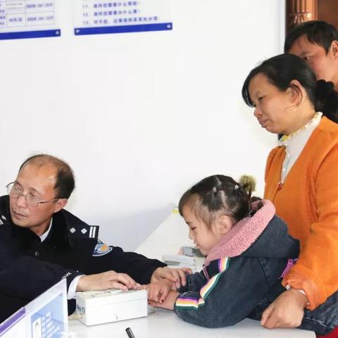 纳雍猪场最新视频介绍，现代化设施与养殖技术展示
