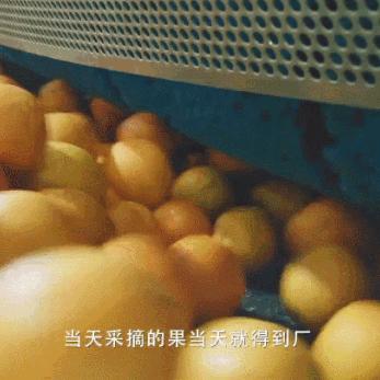微金精密机械最新动态，研发高精度设备，技术革新引领行业发展