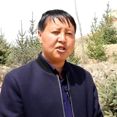 我为家乡献绿材 第33页