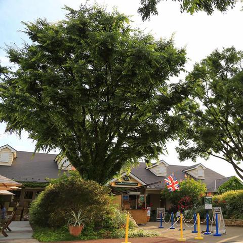 横滨西区房子出租信息最新，横滨住宅区