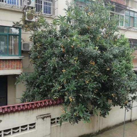 微头条陈旧新闻该怎么改，微头条发布后还能修改吗