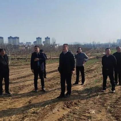 灵宝今日拆迁最新消息，2021灵宝最新规划