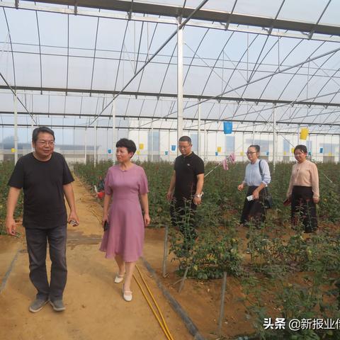 信阳良辰新闻头条，信阳新闻网