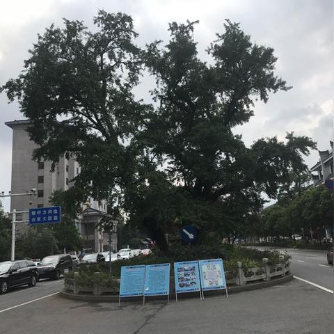 四川最新的石塔在哪里，成都石塔寺