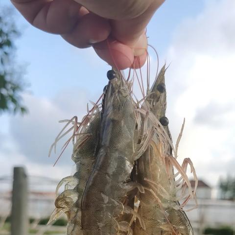 如东县今日疫情最新消息，如东今天最新新闻事件报道