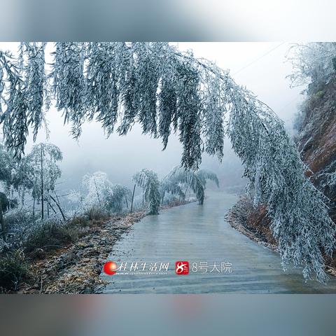 桂林今日雾凇最新消息，桂林今日雾凇最新消息视频