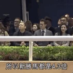 世界赛马比赛奖金排名，世界赛马冠军