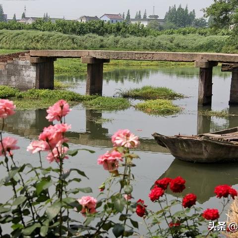 2025年3月12日 第56页