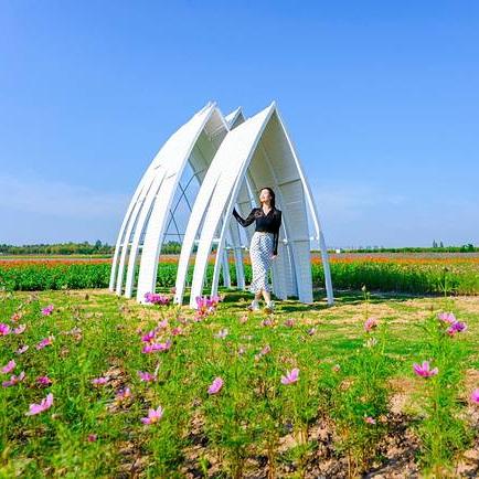 高淳新闻头条花海，高淳花海现在好玩吗