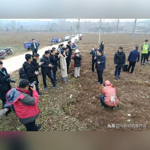 渑池今日新闻最新消息，渑池县今天头条新闻