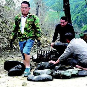 临沂彩陶小区新闻头条，临沂彩石瓦