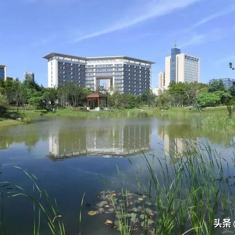 2025年3月12日 第32页
