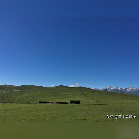 最新公交车天鹅湖路线图详解，便捷出行指南