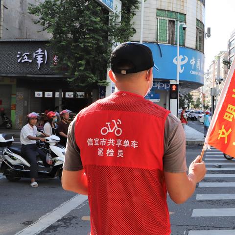 信宜学生单车骑行事故引发关注，加强交通安全教育与管理成焦点