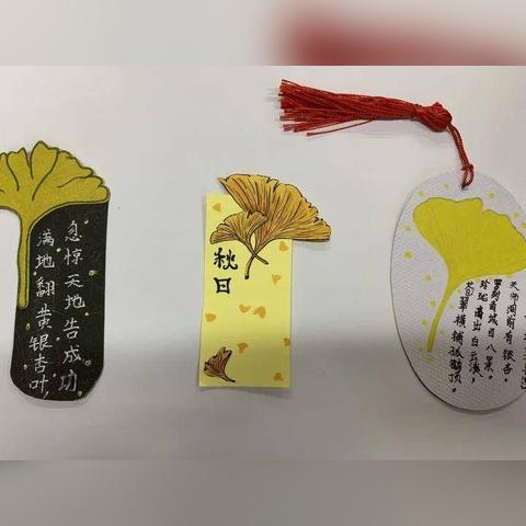 最新版语文书二年级郑州版，探索与体验语文学习之旅