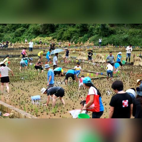 幸运儿喜获脚踏车，开启便捷出行之旅，好运鼓舞人心
