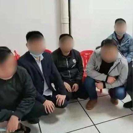 百鸟齐鸣