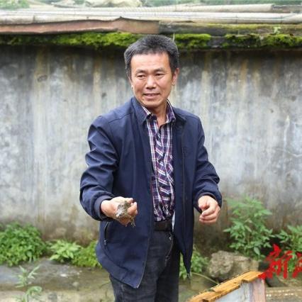 湘西醉蛙，特色美食探寻与团购优惠盛宴