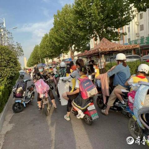 我为家乡献绿材 第14页