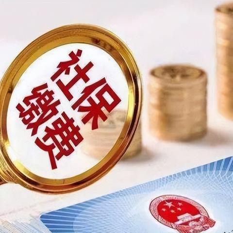 代缴养老保险犯罪案例警示，合规参与，维护社保秩序