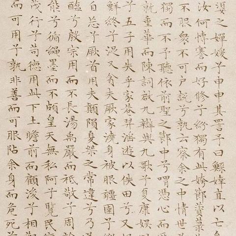 申惟的魅力世界，时尚盛宴，个性风采尽在掌握