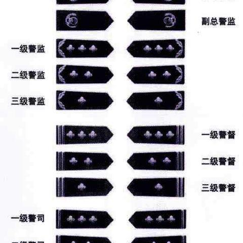 最新各区行政等级排序表，解读政治经济文化差异的指南