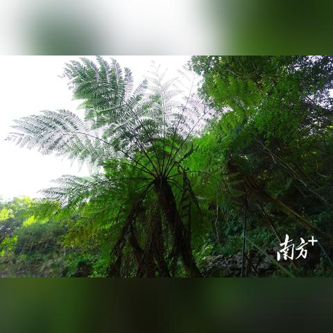 2025年3月13日 第6页