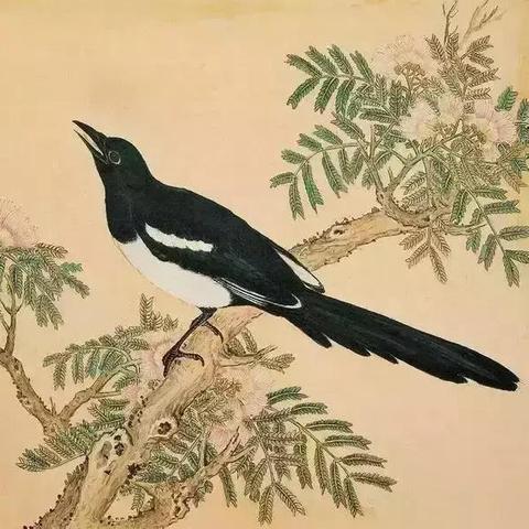 江苏生物竞赛，培养生物学领域新星，激发青少年科研热情。