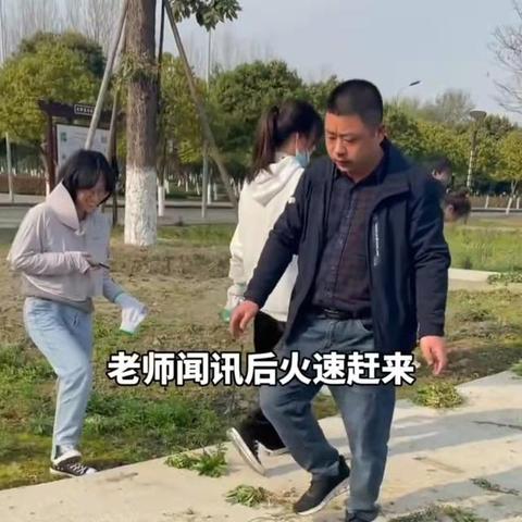 药草栽培全程解析，实用种植技术与经验分享视频集