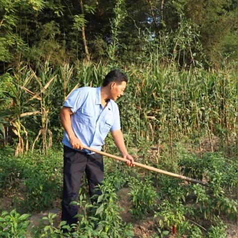 合肥女人醉汉视频引发社会热议，反思现代生活与社会现象