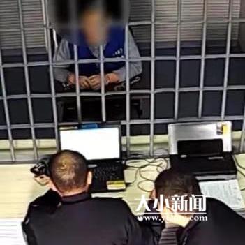 牟平金融诈骗案最新进展与解析，涉案金额巨大，全力追查中