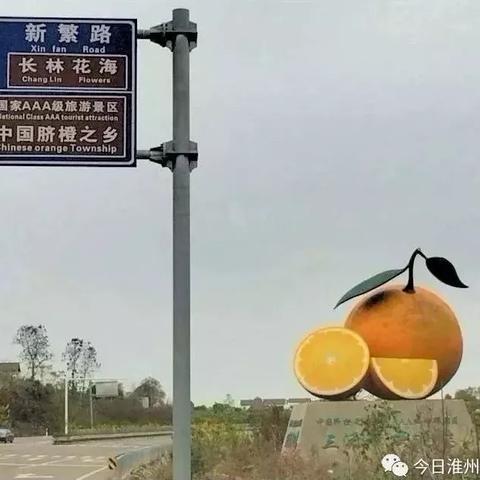 南阳财神庙拆迁，城市发展的见证与未来规划