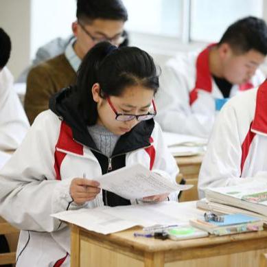 天津挖机招聘最新动态，官网发布挖掘机及相关岗位信息