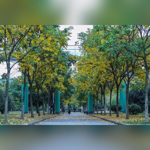 烟草行业监管加强，未来发展前景引关注