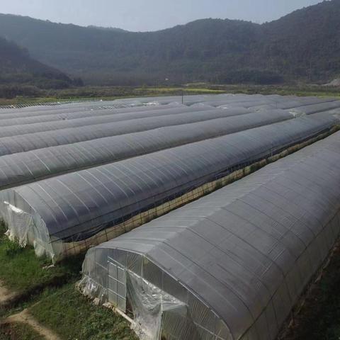 阳新地区针对疫情采取交通管制措施，部分路段封闭管理