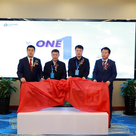 东大家园房价走势分析，购房指南与最新市场动态