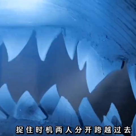 小美鲨鱼最新视频，神秘海洋探险之旅