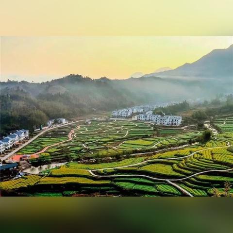 建宁林地承包最新动态公告发布，承包信息全面更新