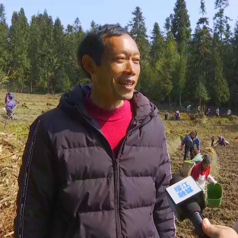 云南绥江大团岩公路进展顺利，预计全线贯通助推经济发展