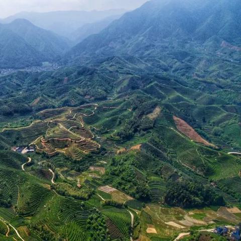 遂昌到大柘路线详解，最新路线图及关键地点标注
