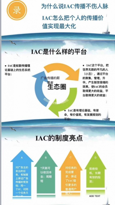 鸢飞鱼跃