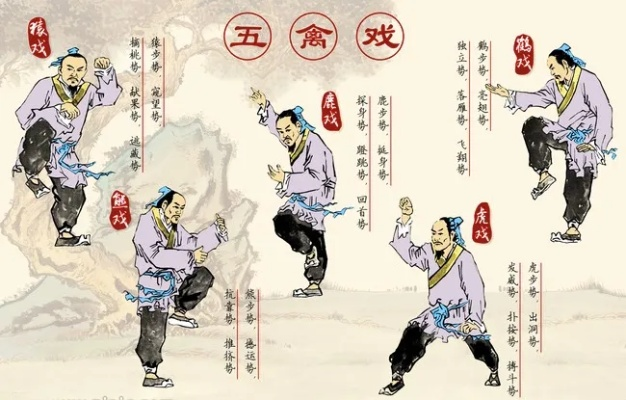 五禽戏哪个版本最好同热血沙巴克激活码,数据设计驱动解析-Superior_v10.454