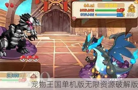 破解版宠物王国单机版同ftp官方中文版下载,标准化流程评估&amp;Galaxy_v10.993